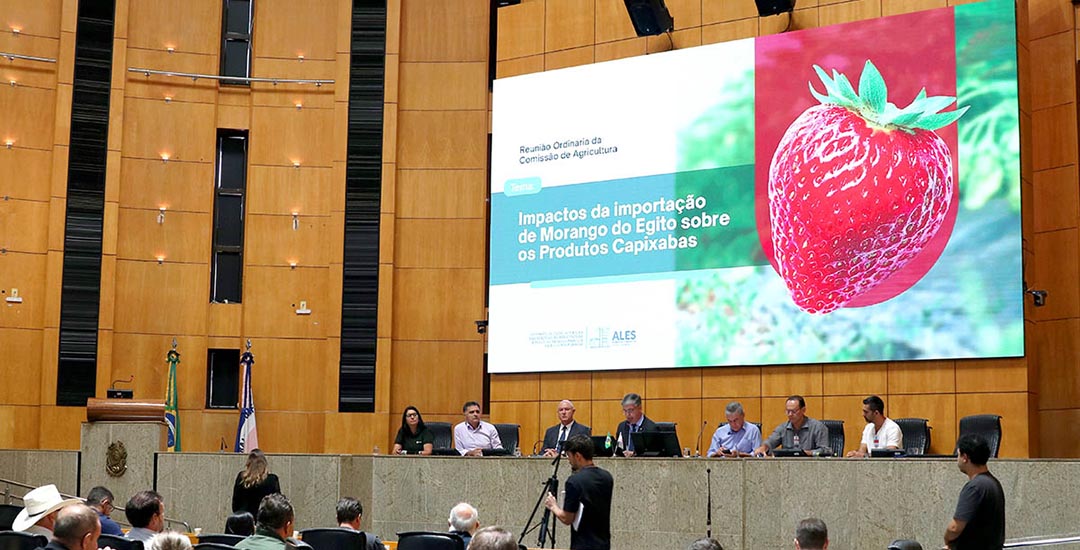 Depois do cacau, a crise do morango