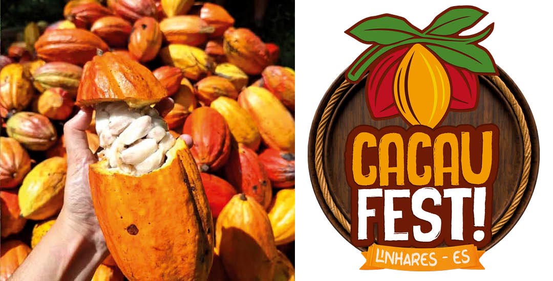 Cacau Fest 2026